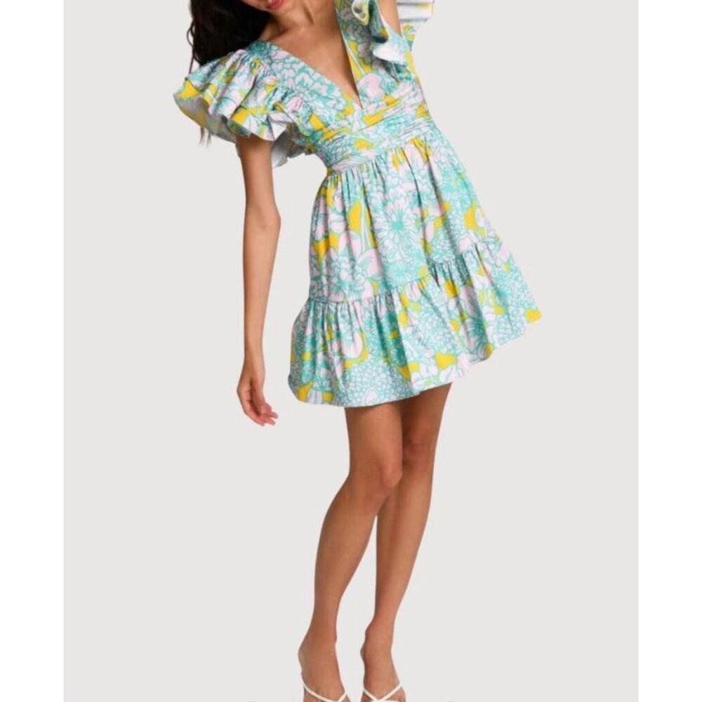 NWT Hutch Flutter Sleeve Raffia Dress with Pockets size S - Picture 11 of 11